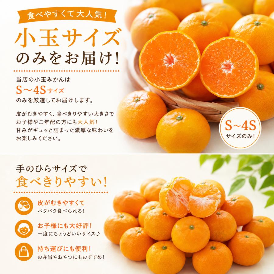 ミヤモトオレンジガーデン みかん 5kg 甘い 訳あり 小玉 こつぶ 小粒