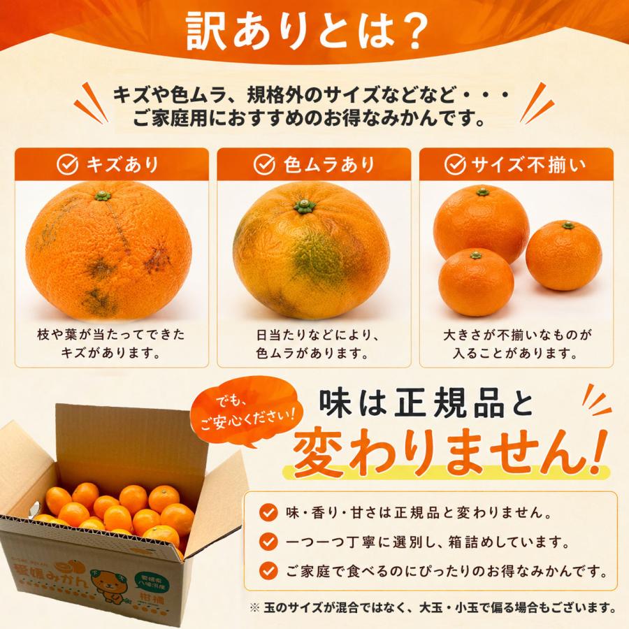 ミヤモトオレンジガーデン みかん 5kg 甘い 訳あり 小玉 こつぶ 小粒