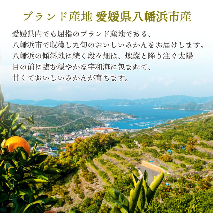 みかん 5kg 甘い ご家庭用 訳あり 小玉 3S〜Sサイズ 50〜80玉前後入り 愛媛 西宇和地区 八幡浜市産 11月上旬より順次出荷予定 :2S-w5:みかんの花 - 通販 - Yahoo!ショッピング みかん 5kg 甘い ご家庭用 訳あり 小玉 3S〜Sサイズ 50〜80玉前後入り 愛媛 西宇和地区 八幡浜市産 11月上旬より順次出荷予定 :2S-w5:みかんの花 - 通販 - Yahoo!ショッピング