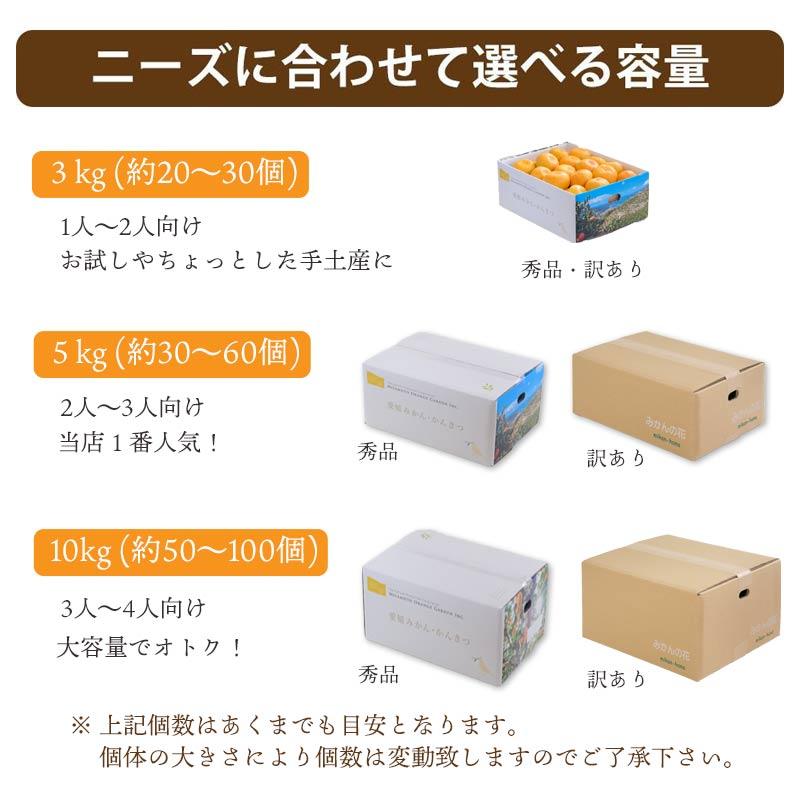 みかん 5kg 甘い ご家庭用 訳あり 小玉 3S〜Sサイズ 50〜80玉前後入り 愛媛 西宇和地区 八幡浜市産 11月上旬より順次出荷予定 :2S-w5:みかんの花 - 通販 - Yahoo!ショッピング みかん 5kg 甘い ご家庭用 訳あり 小玉 3S〜Sサイズ 50〜80玉前後入り 愛媛 西宇和地区 八幡浜市産 11月上旬より順次出荷予定 :2S-w5:みかんの花 - 通販 - Yahoo!ショッピング
