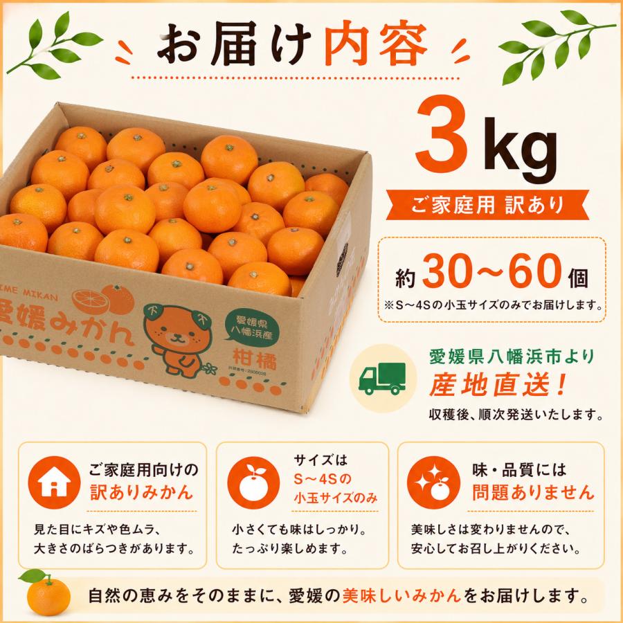 ミヤモトオレンジガーデン みかん 甘い 3kg ご家庭用 訳あり 小玉 小粒