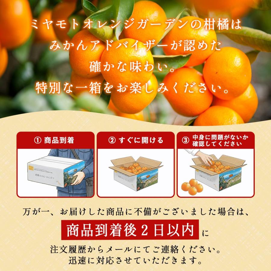 みかん様 お仕上がり確認用 みかん様確認用☆ みかん様 お仕上がり確認用