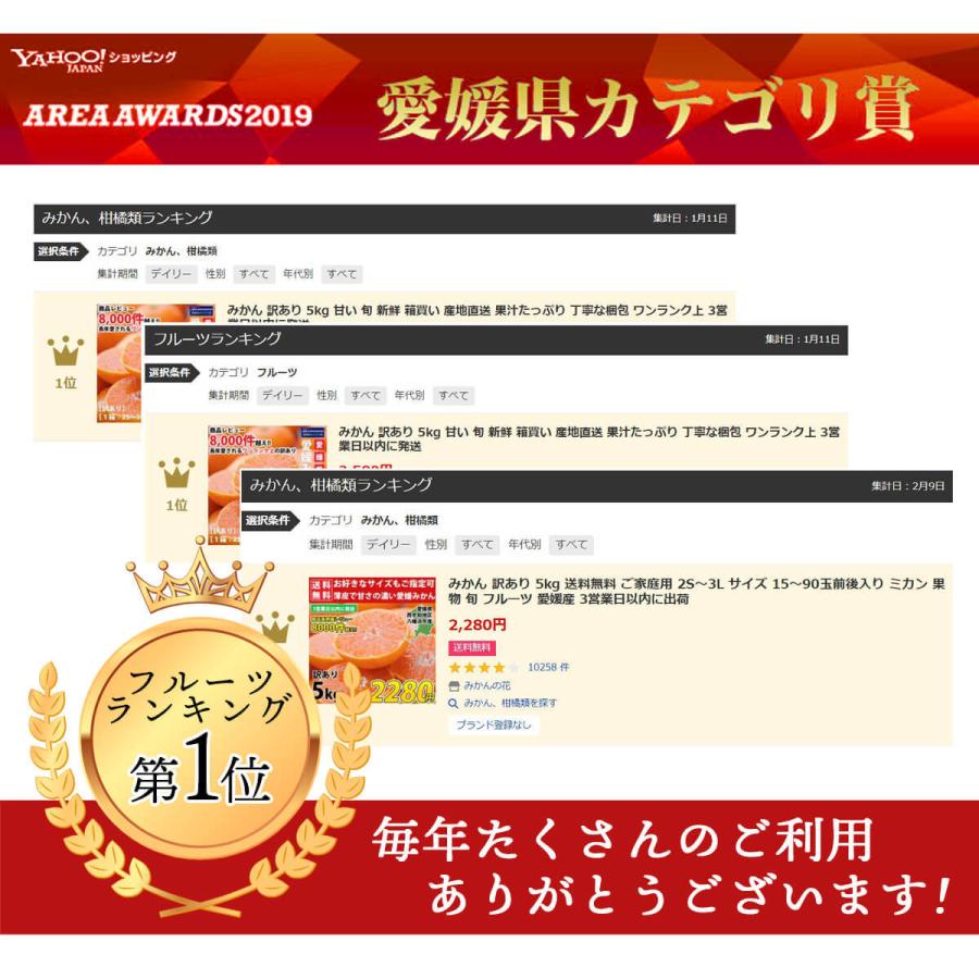 みかん 愛媛 3kg 訳あり ご家庭用 極早生 小玉 小さい ミカン 蜜柑 3S〜Sサイズ 30〜40玉前後入り  西宇和 八幡浜 送料無料 産地直送 ポイント利用 爆買 |  | 01