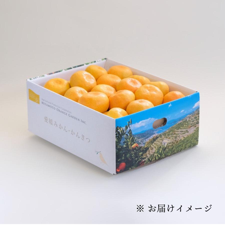 みかん 甘い 3kg 秀品 愛媛 西宇和地区 八幡浜市産 S〜Lサイズ 20〜30玉前後入り 愛媛 西宇和地区 八幡浜市産 11月上旬より順次出荷予定 :gokuwase-t3:みかんの花 - 通販 - Yahoo!ショッピング みかん 甘い 3kg 秀品 愛媛 西宇和地区 八幡浜市産 S〜Lサイズ 20〜30玉前後入り 愛媛 西宇和地区 八幡浜市産 11月上旬より順次出荷予定 :gokuwase-t3:みかんの花 - 通販 - Yahoo!ショッピング