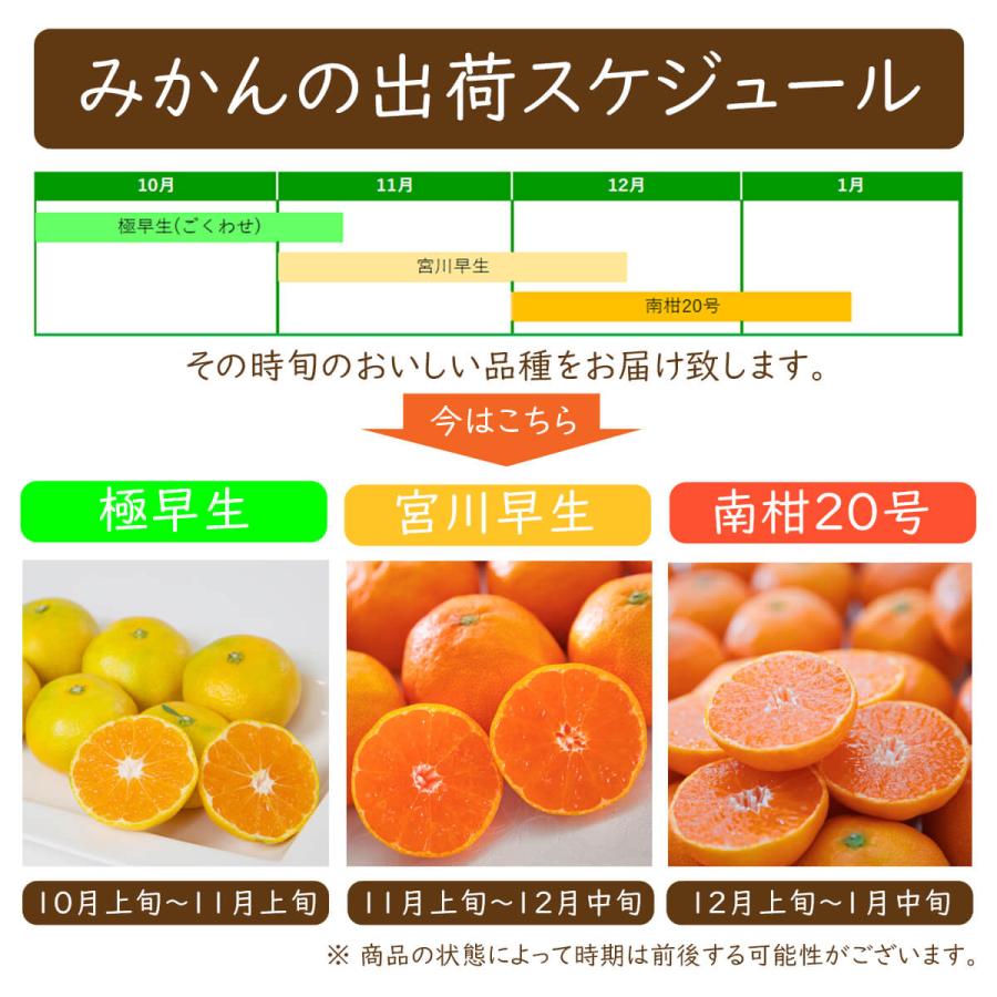 ミヤモトオレンジガーデン みかん 愛媛 甘い 3kg 秀品 西宇和