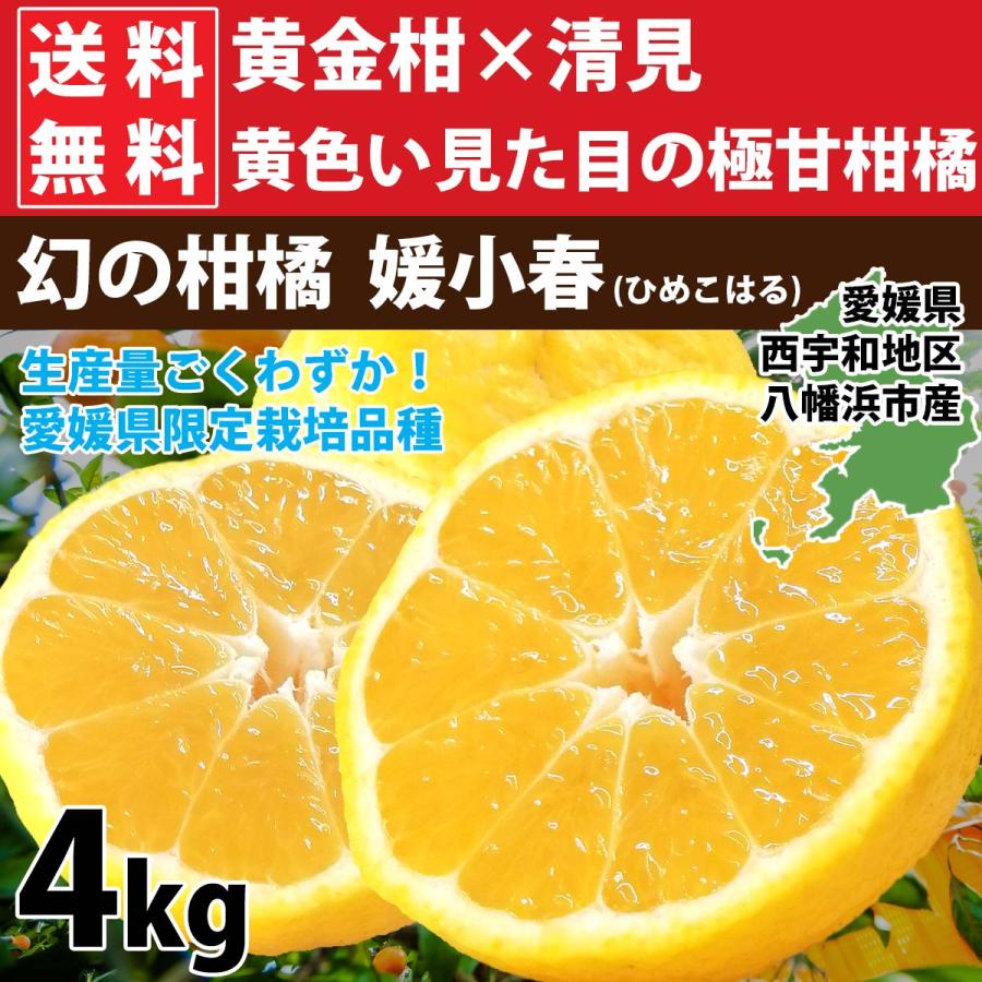 ミヤモトオレンジガーデン みかん 愛媛 媛小春 4kg 幻のかんきつ ミヤモトオレンジガーデン みかん 愛媛 媛小春 4kg 幻のかんきつ