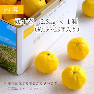 ミヤモトオレンジガーデン みかん 愛媛 媛小春 4kg 幻のかんきつ ミヤモトオレンジガーデン みかん 愛媛 媛小春 4kg 幻のかんきつ