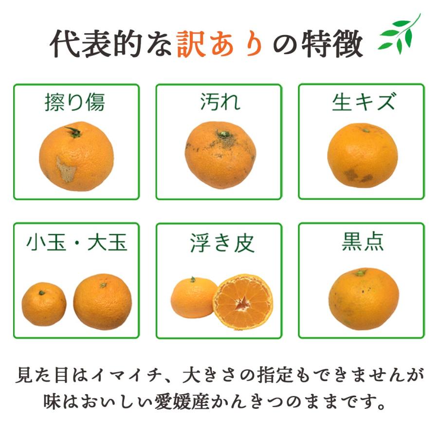 みかん いよかん 秀品 2kg 伊予柑 甘い 愛媛 ギフト プレゼント お取り寄せ 受験 旬｜mikan-hana｜08