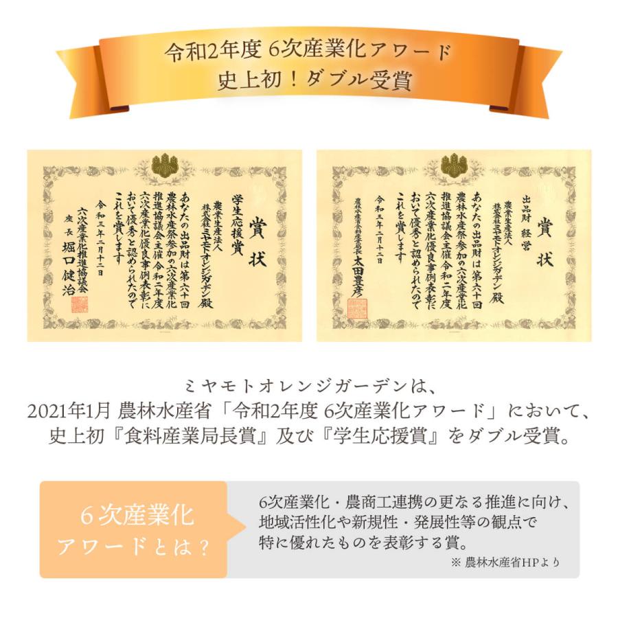 みかん いよかん 愛媛 訳あり ご家庭用 2kg 伊予柑 甘い 愛媛 ご家庭用 お取り寄せ 受験 旬｜mikan-hana｜10