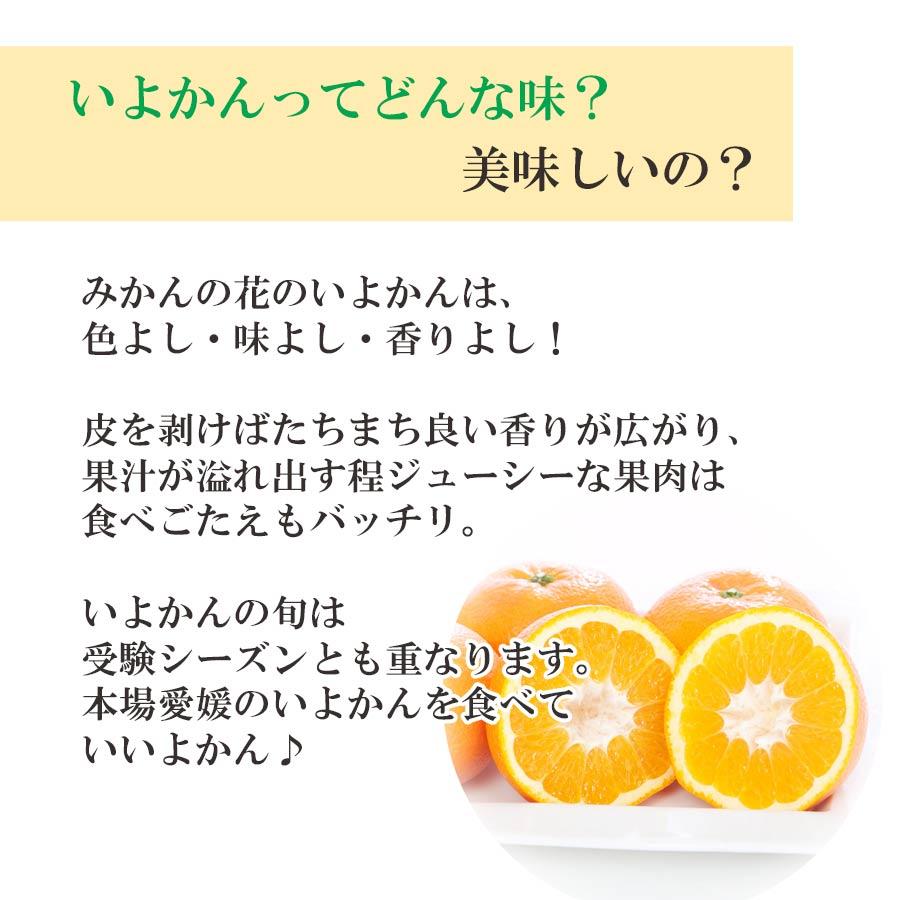 みかん いよかん 訳あり ご家庭用 7kg 伊予柑 甘い 愛媛 ご家庭用 お取り寄せ 旬｜mikan-hana｜04