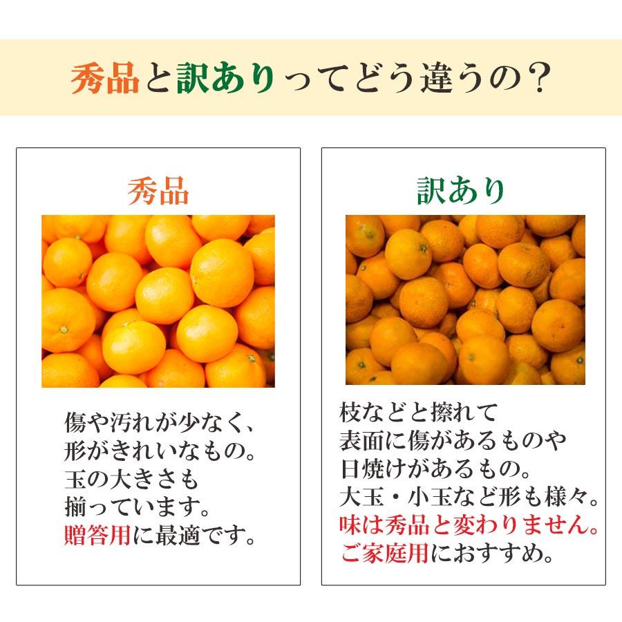 みかん いよかん 訳あり ご家庭用 7kg 伊予柑 甘い 愛媛 ご家庭用 お取り寄せ 旬｜mikan-hana｜06