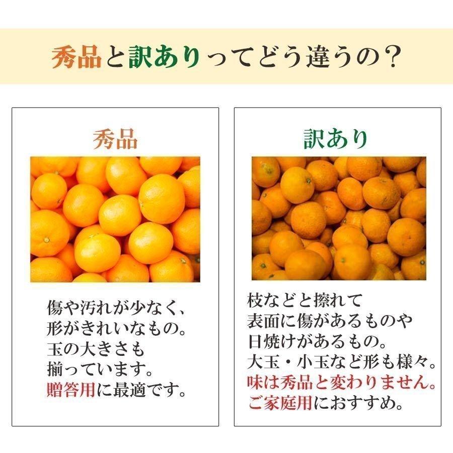 方 食べ ぺい かん みかん 希少な新品種みかん「甘平」をまるごと楽しむおいしい食べ方