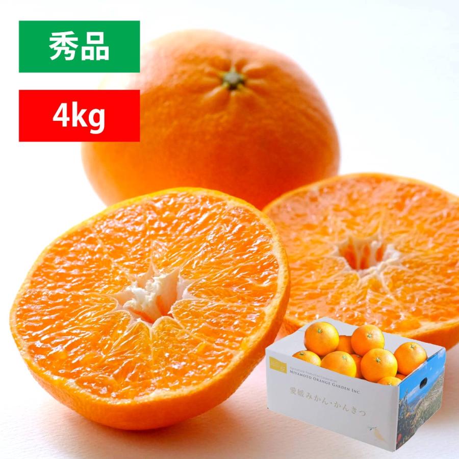 みかん 甘平 秀品 4kg かんぺい カンペイ 濃厚 甘い 高級 愛媛 みかん 甘平 秀品 4kg かんぺい カンペイ 濃厚 甘い 高級 愛媛