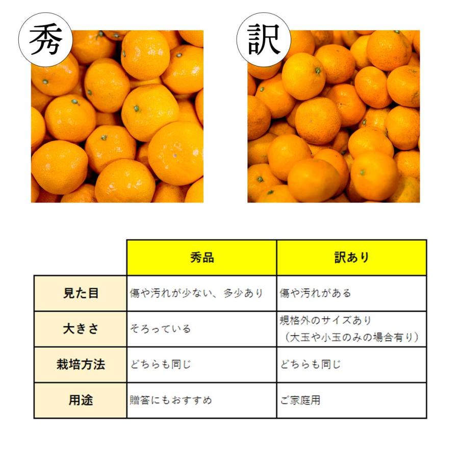 みかん 甘平 秀品 4kg かんぺい カンペイ 濃厚 甘い 高級 愛媛 みかん 甘平 秀品 4kg かんぺい カンペイ 濃厚 甘い 高級 愛媛