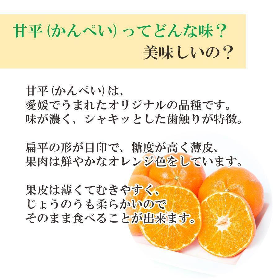 再入荷】 みかん 訳あり 2kg 甘平 かんぺい カンペイ 濃厚 甘い 再入荷】 みかん 訳あり 2kg 甘平 かんぺい カンペイ 濃厚 甘い