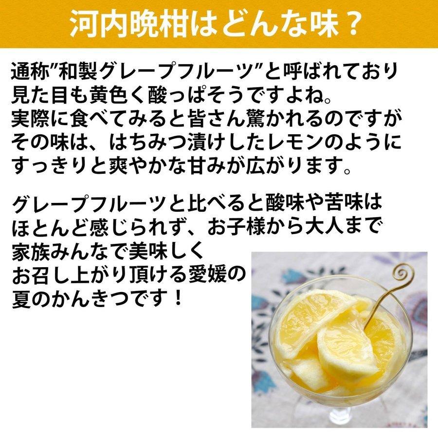 河内晩柑 和製グレープフルーツ 訳あり 10kg みかん ジューシー 愛媛産 オレンジ 産地直送 旬 ご家庭用 Kawati W10 みかんの花 通販 Yahoo ショッピング