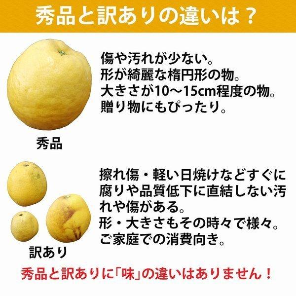 河内晩柑 和製グレープフルーツ 訳あり 10kg みかん ジューシー 愛媛産 オレンジ 産地直送 旬 ご家庭用 Kawati W10 みかんの花 通販 Yahoo ショッピング