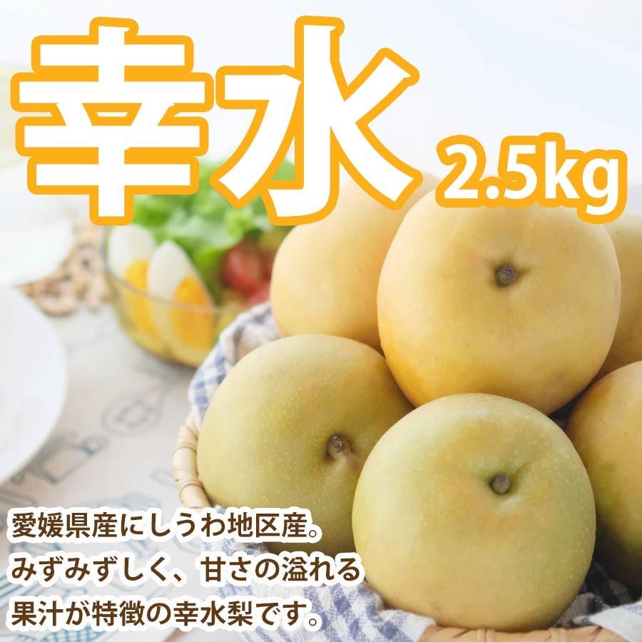 梨 幸水 愛媛産 2 5kg 送料無料 Kousui 25 みかんの花 通販 Yahoo ショッピング
