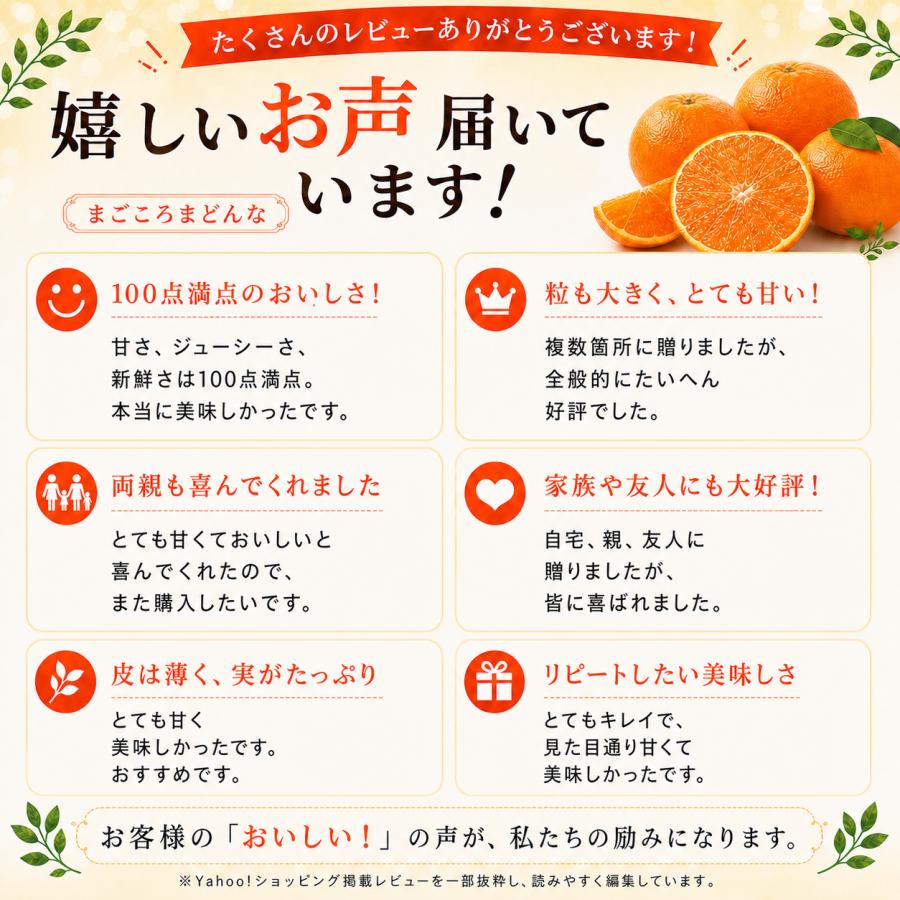 ミヤモトオレンジガーデン 【早割10％OFFクーポン】みかん 紅まどんな