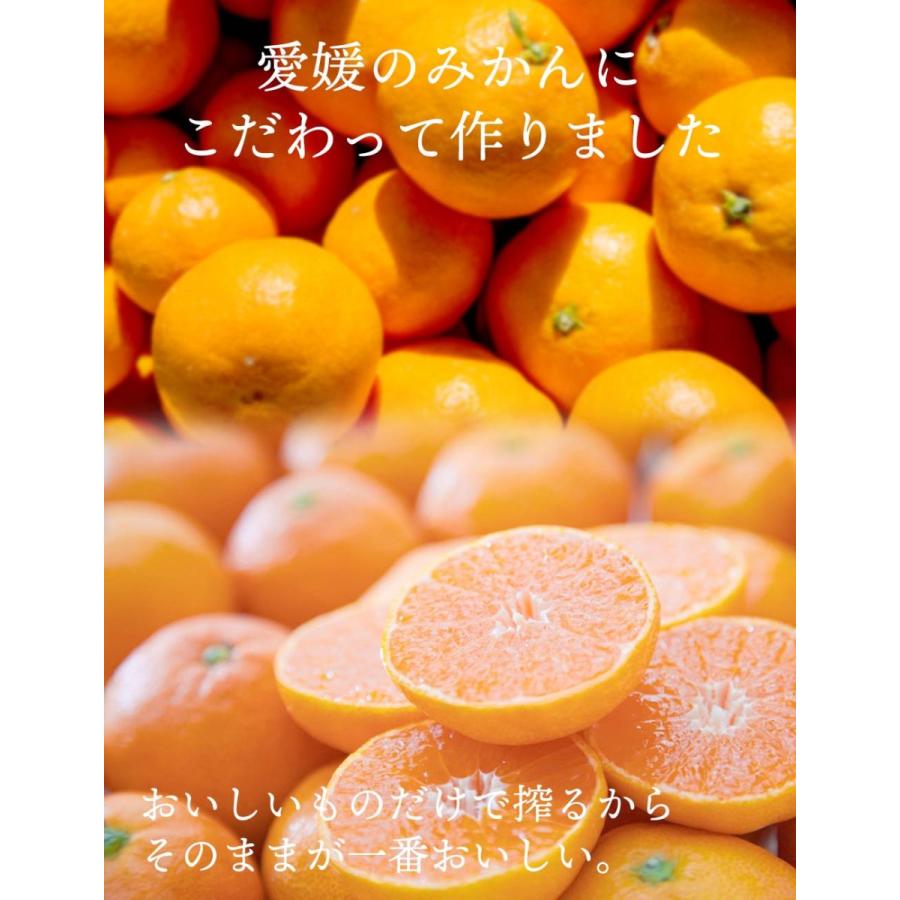プレゼント みかんジュース オレンジジュース 愛媛産 みかん 100