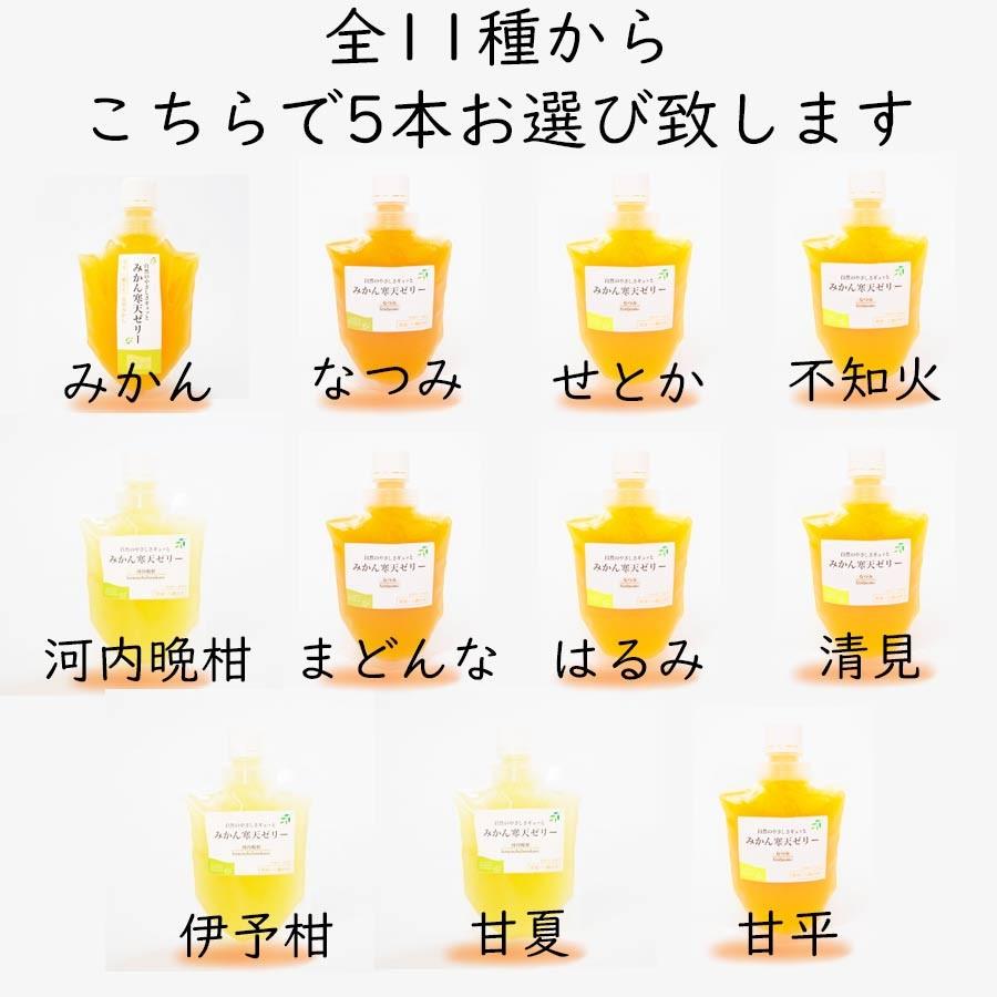 ゼリー みかん ミカン 寒天ゼリー 送料無料 プチギフトセット 170g 5本 Mikanj 5 みかんの花 通販 Yahoo ショッピング