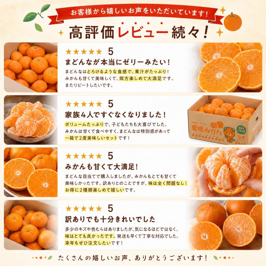 ミヤモトオレンジガーデン みかん まどんな 食べ比べ 詰め合わせ