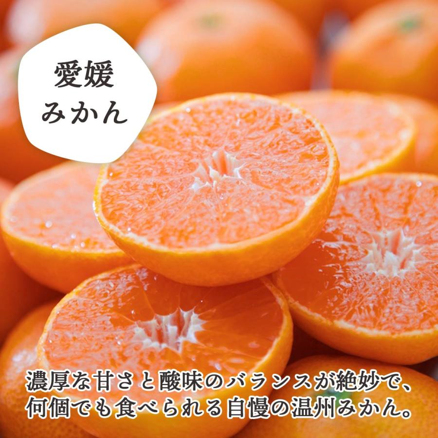 みかん まどんな 食べ比べ 詰め合わせ セット ご家庭用 訳あり 甘い 