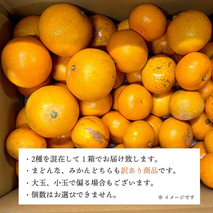 ミヤモトオレンジガーデン みかん まどんな 食べ比べ 詰め合わせ