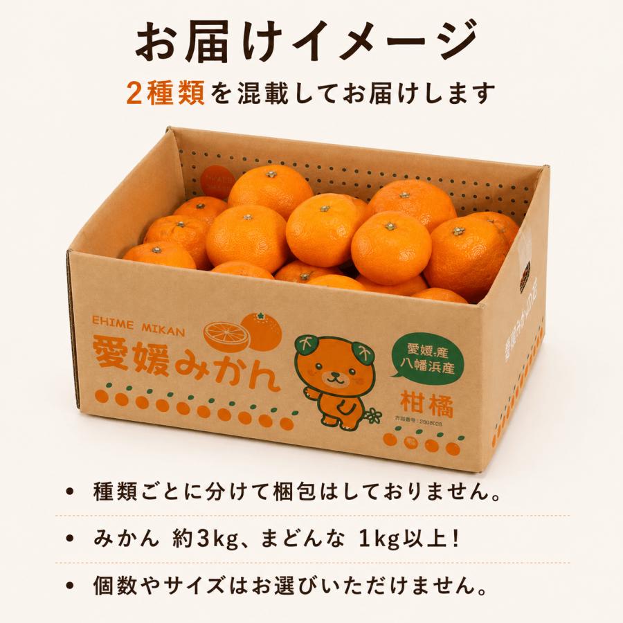 ミヤモトオレンジガーデン みかん まどんな 食べ比べ 詰め合わせ
