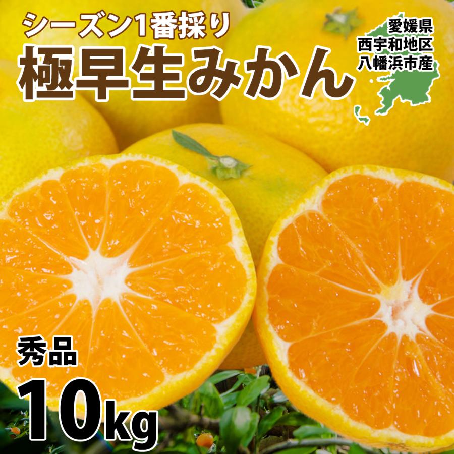 8愛媛玉津産　日南　甘い小玉　秀品＋家庭用ランク込み10kg