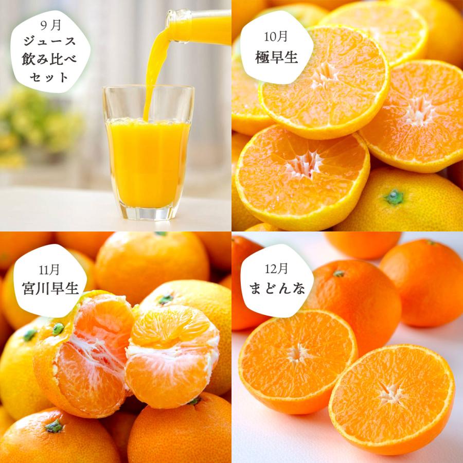 プレゼント みかん かんきつ 定期便 全12回 秀品 愛媛産 高級 プレゼント みかん かんきつ 定期便 全12回 秀品 愛媛産 高級
