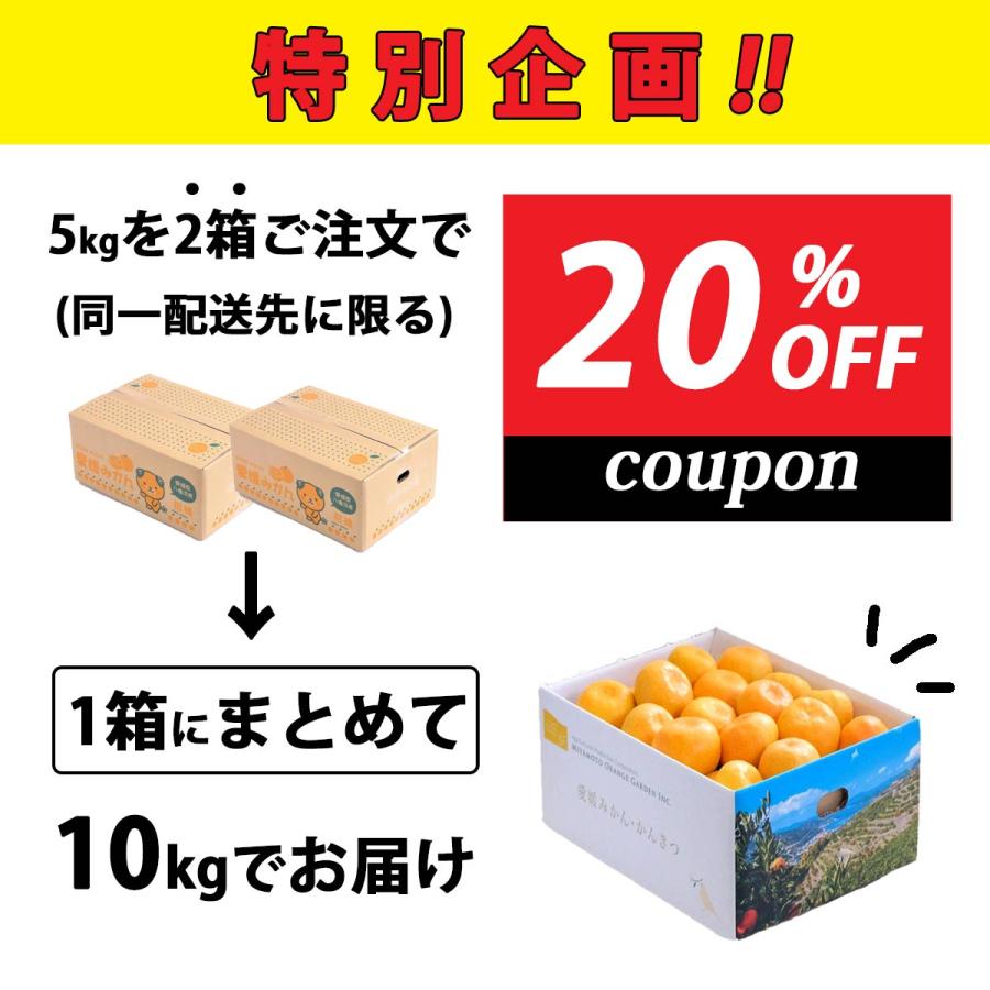 再入荷】2箱購入で20%OFF!みかん 5kg 愛媛 西宇和 八幡浜 訳 再入荷】2箱購入で20%OFF!みかん 5kg 愛媛 西宇和 八幡浜 訳