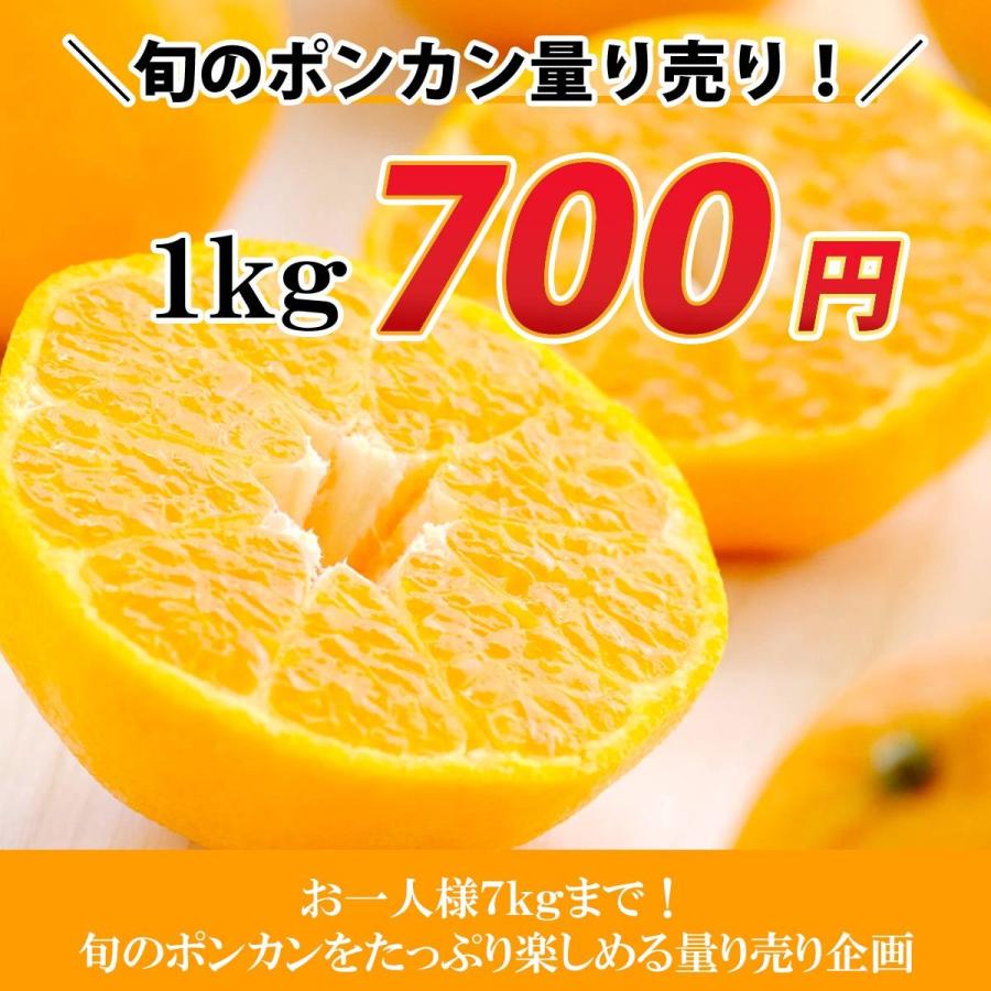 ぽんかん投稿画像8枚