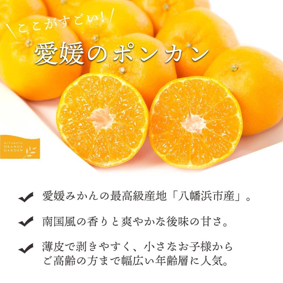 ポンカン 訳あり 4kg みかん 濃厚 甘い さわやか 愛媛産 南国風 良い香り ご家庭用 1月初旬頃より出荷 Ponkan W5 みかんの花 通販 Yahoo ショッピング