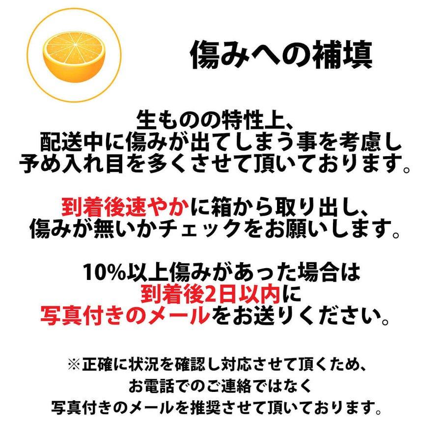 みかん せとか 甘平 愛媛 食べ比べ 詰め合わせ セット 訳あり 3kg 各1.5kg 高級 希少 豪華 010139000406｜mikan-hana｜13