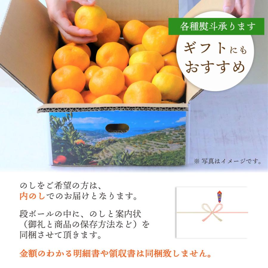 せとか みかん 秀品 4kg 濃厚 甘い 高級 愛媛 ギフト プレゼント 有名 人気 お取り寄せ 旬 010113000308｜mikan-hana｜09