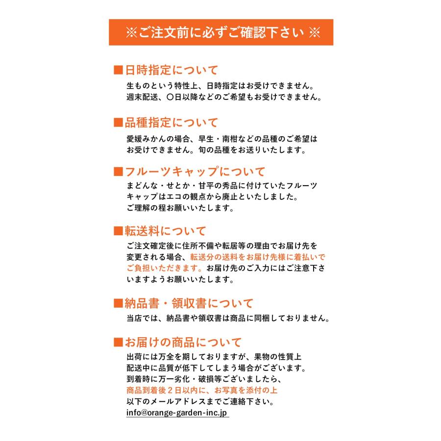 せとか みかん 訳あり 4kg 愛媛産 八幡浜市 フルーツ 果物