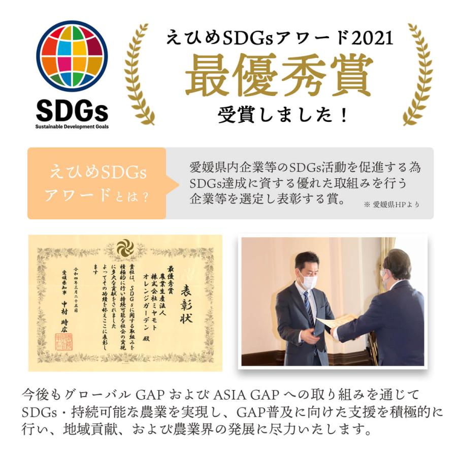 愛媛産 せとか みかん 贈答 約2kg 8〜15個入り 濃厚 甘い 高級 ギフト プレゼント 有名 人気 お取り寄せ 010113000204｜mikan-hana｜14