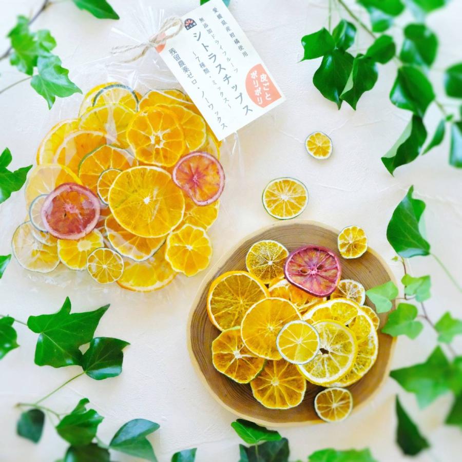 無添加ドライフルーツ シトラスチップス 50g 愛媛産柑橘使用 Shitorasuchippusu 1 みかんの花 通販 Yahoo ショッピング