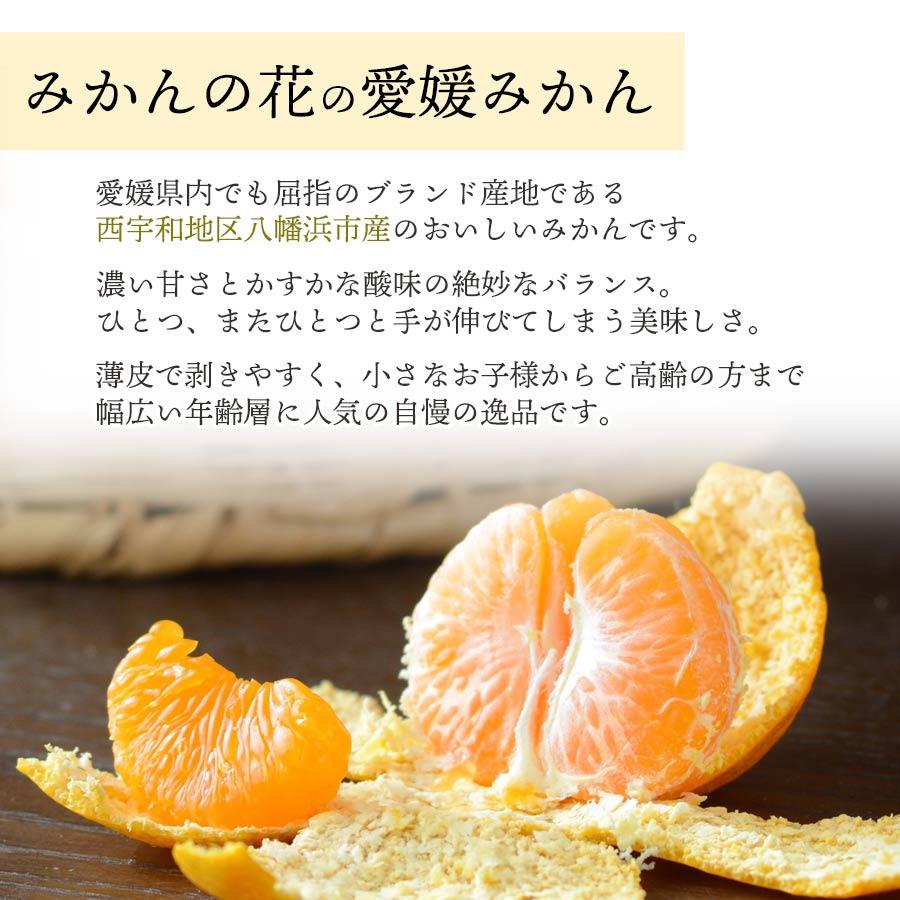 みかん 甘い 訳あり ご家庭用 3kg 2S〜3Lサイズ 15〜50玉前後入り 愛媛 