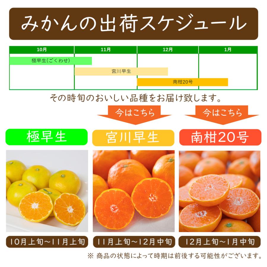 甘~い◎訳あり ハウスみかん 5kg e