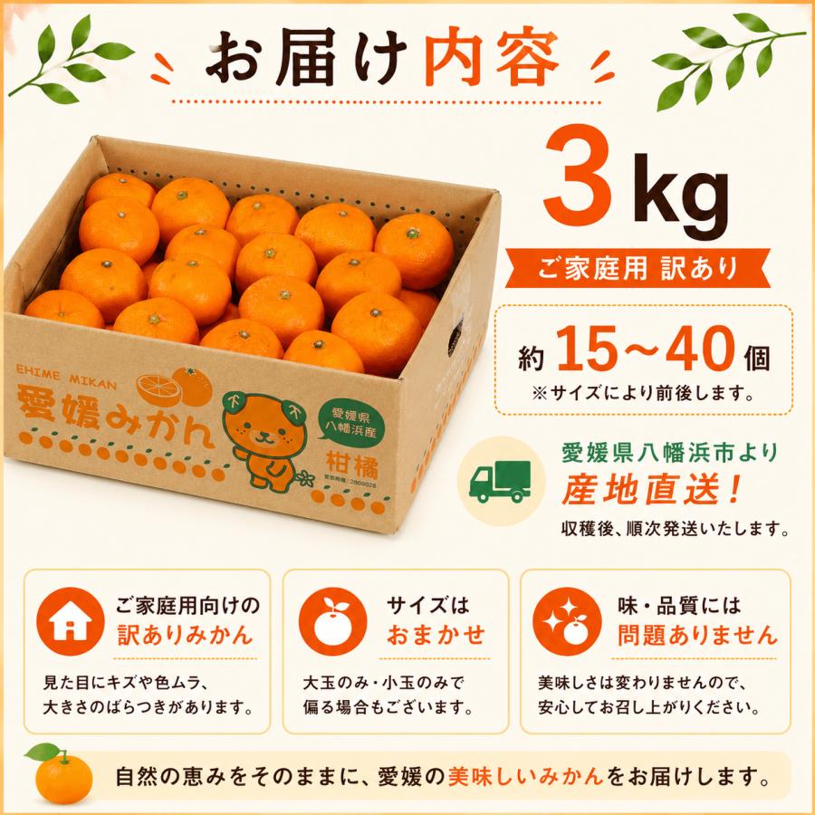 ミヤモトオレンジガーデン みかん 甘い 訳あり ご家庭用 3kg 2S〜3L