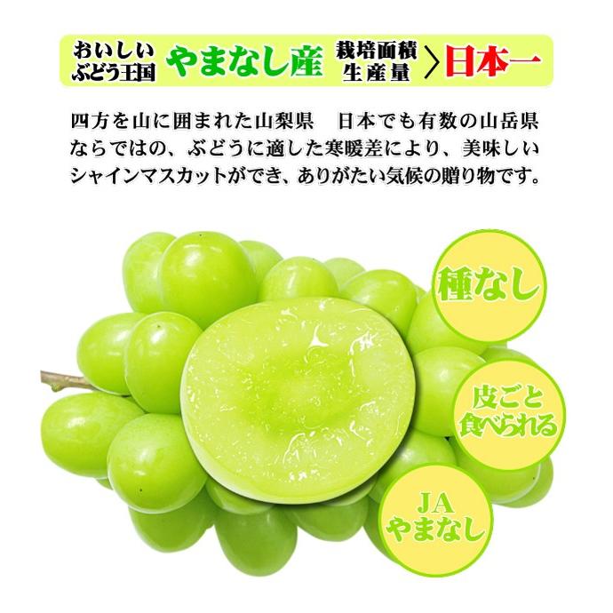山梨長野県産 種無し巨峰 5Kg7〜9房入り