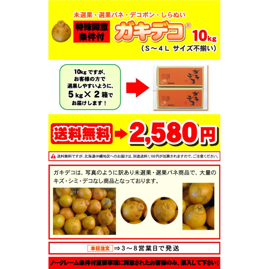 でこぽん大箱10ｋｇ⇒2,580円⇒送料無料でありえない最安値に挑戦！デコポン・しらぬい選果ばね・未選果⇒ガキデコ（特殊条件付）訳あり家庭用・愛媛産｜mikan-mikan｜03