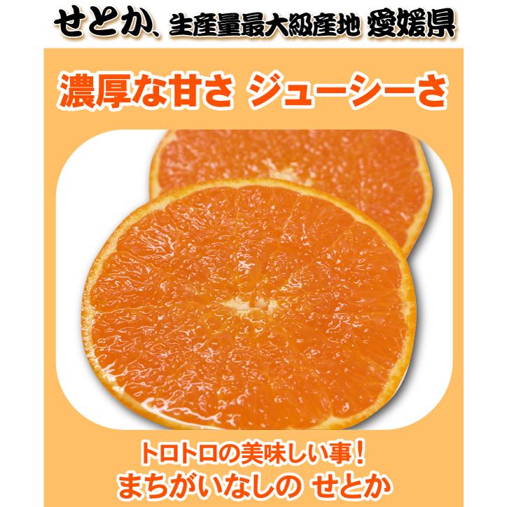 せとか TVで話題！トロトロ みかん たっぷり5kg☆訳あり家庭用で最安値