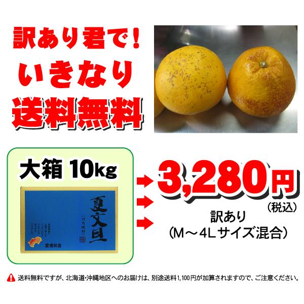 ✩みずさん 様✩南柑20号10キロ&河内晩柑8キロ きになるFARMERS / 南柑20号 家庭用 10キロ