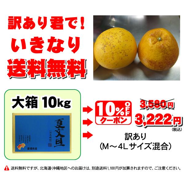 ☆本日10％OFFクーポン割引☆河内晩柑TVで話題の食べる天然ジュース