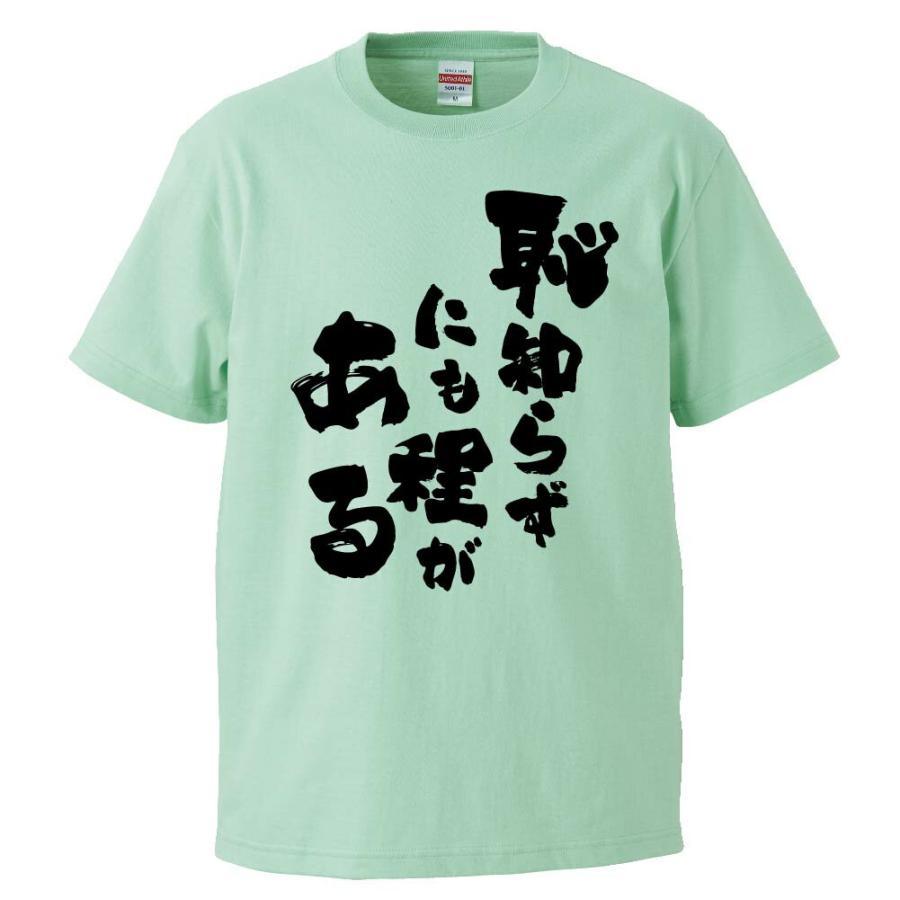 おもしろtシャツ 恥知らずにも程がある ギフト プレゼント 面白 メンズ 半袖 無地 漢字 雑貨 名言 パロディ 文字 Fd0353 みかん箱 通販 Yahoo ショッピング