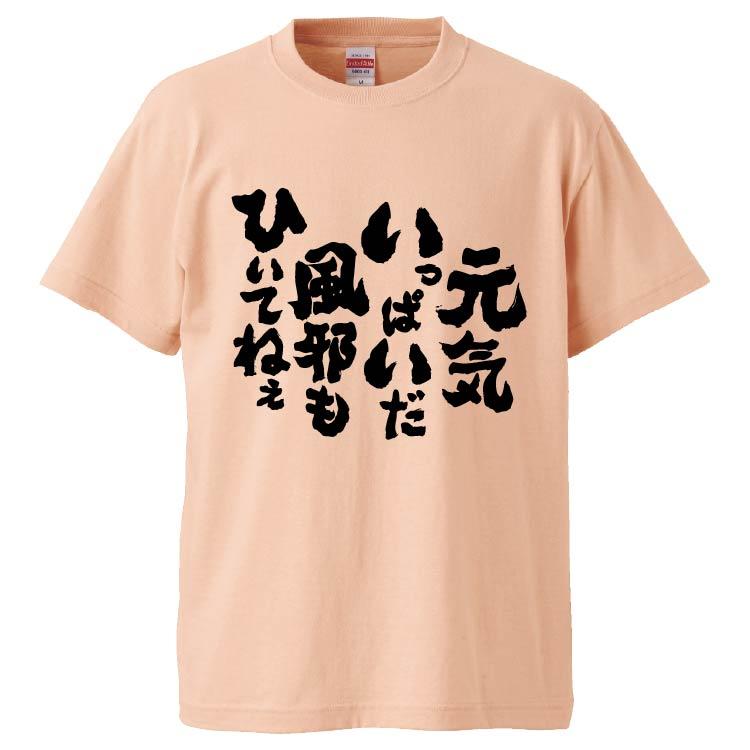 おもしろtシャツ 元気いっぱいだ風邪もひいてねぇ ギフト プレゼント 面白 メンズ 半袖 無地 漢字 雑貨 名言 パロディ 文字 Fd5133 みかん箱 通販 Yahoo ショッピング