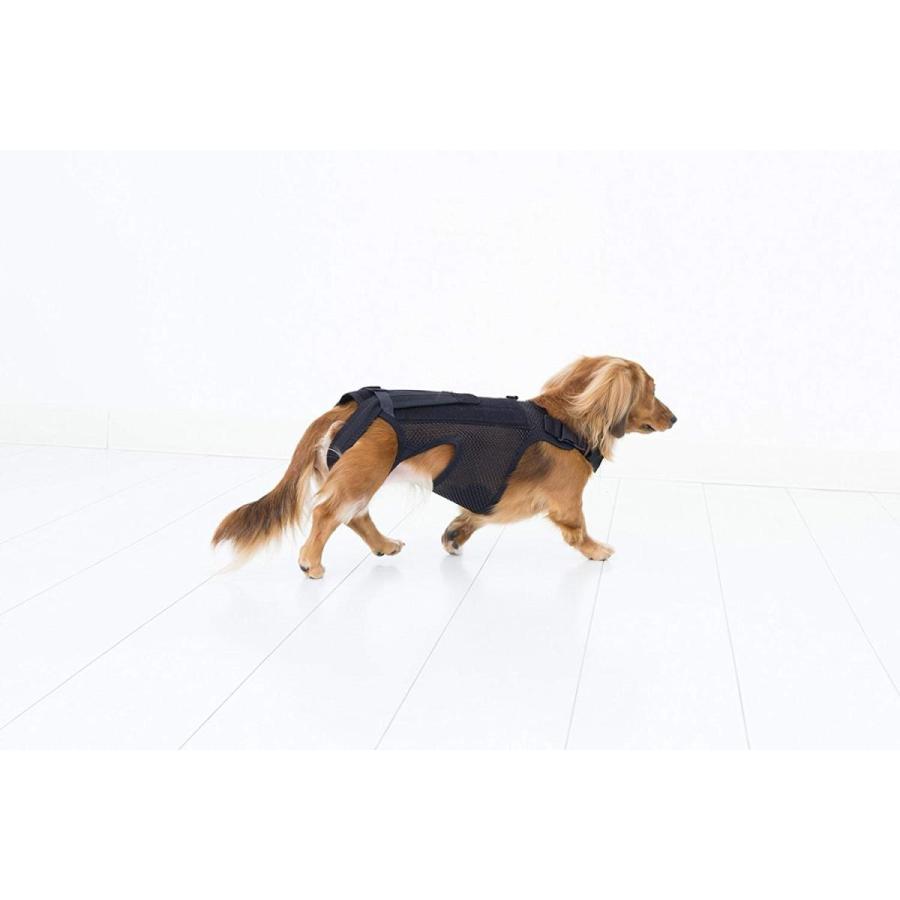 人気ブランドを アニフル Anifull わんコルプロ ブラック S 犬用コルセット 超人気の Zoetalentsolutions Com